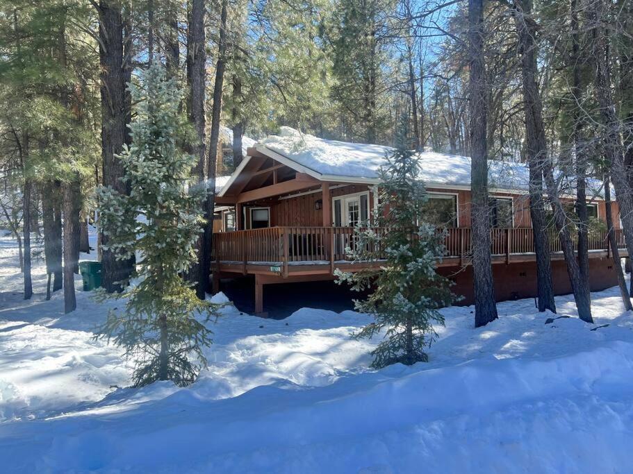 The Bluejay Cabin At Munds Park, Az! Sedona Zewnętrze zdjęcie