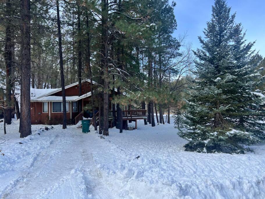 The Bluejay Cabin At Munds Park, Az! Sedona Zewnętrze zdjęcie
