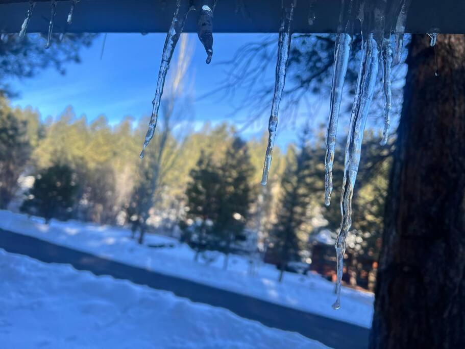 The Bluejay Cabin At Munds Park, Az! Sedona Zewnętrze zdjęcie